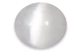 سلنایت