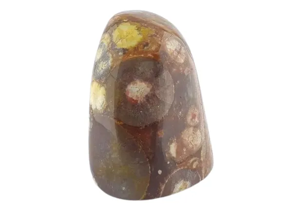 گوست آی