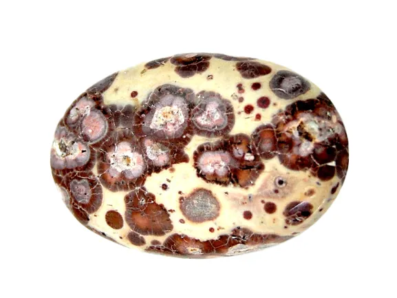 آستروئید جاسپر