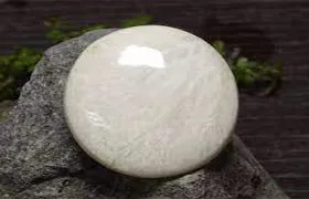 اسکولسیت