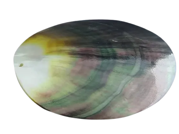 صدف